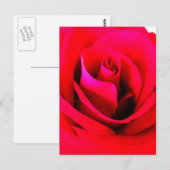 Blume Postkarte malen (Vorne/Hinten)
