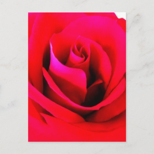 Blume Postkarte malen (Vorderseite)
