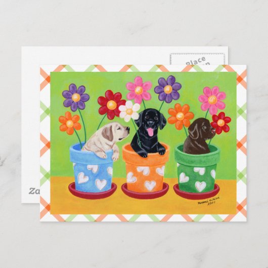 Blume Pot Labrador Welpen Postkarte (Vorne/Hinten)