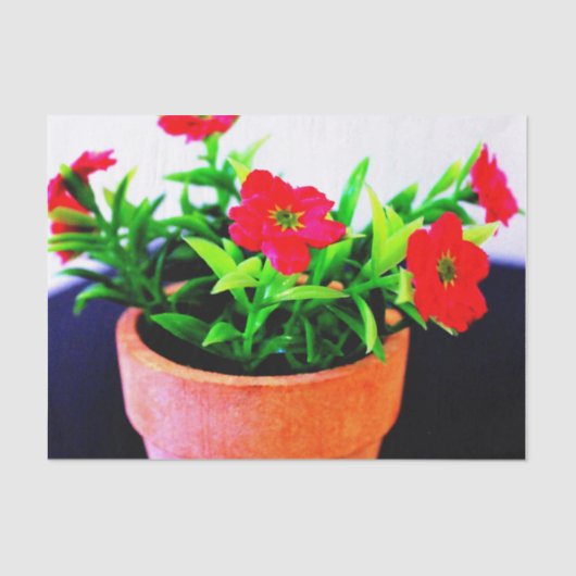 Blume Pot Seidenpapier (Vorderseite)