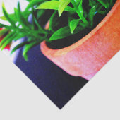 Blume Pot Seidenpapier (Ausschnitt)