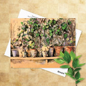 Blume Pots in Clay Paul Cezanne Postkarte