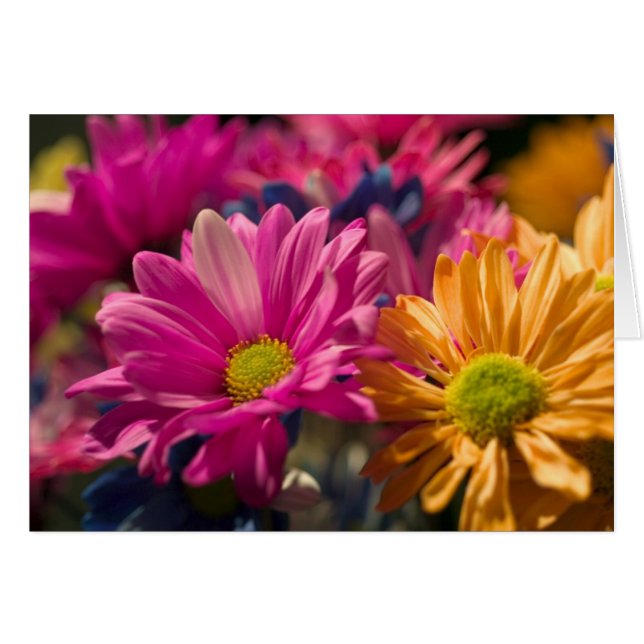 Blume Power (Vorderseite (Horizontal))