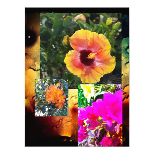 Blume Power 2024 Fotodruck (Vorne)