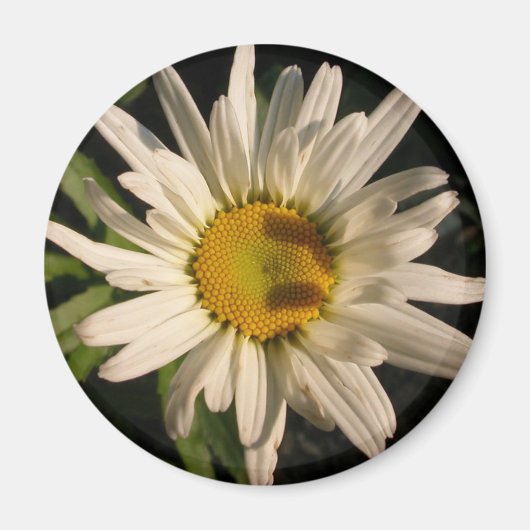 Blume Power Magnet (Vorne)