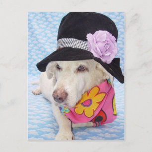 Blume Power Myrtie Postkarte