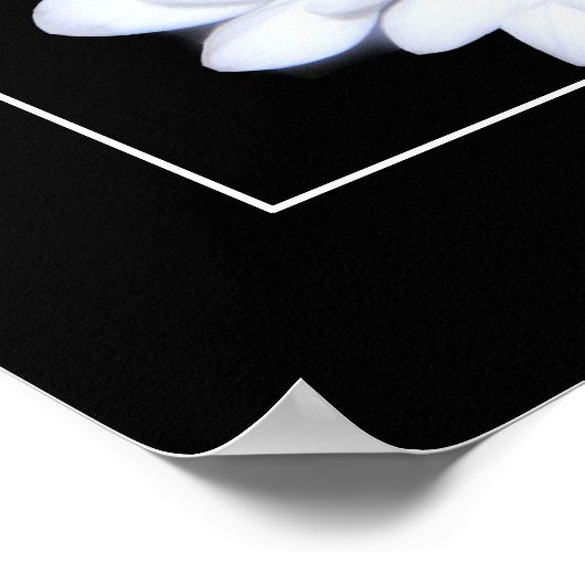 Blume Power Poster (Ecke)