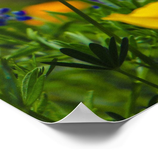 Blume Power Poster (Ecke)