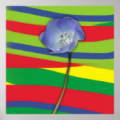 BLUME POWER POSTER (Vorne)