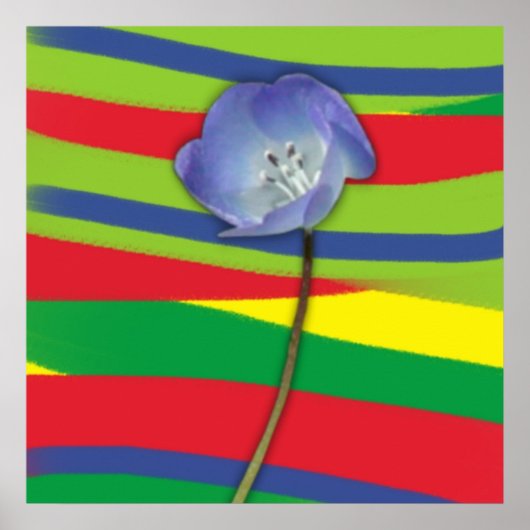 BLUME POWER POSTER (Vorne)