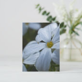 Blume Power Postkarte (Stehend Vorderseite)