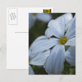 Blume Power Postkarte (Vorne/Hinten)