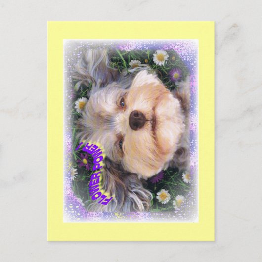 Blume POWER Postkarte (Vorderseite)