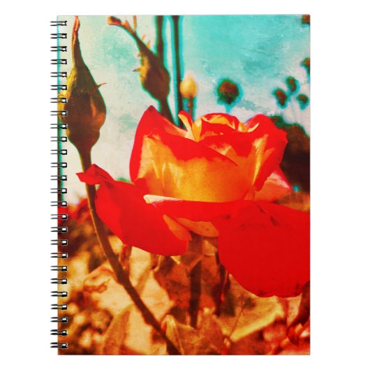 Blume Power Rose Notebook Notizblock (Vorderseite)