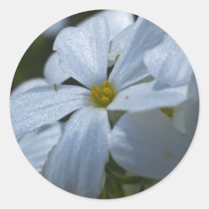 Blume Power Runder Aufkleber