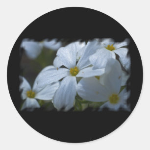 Blume Power Runder Aufkleber