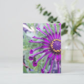 Blume Power Spider Lila Postkarte (Stehend Vorderseite)