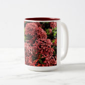 Blume Power Zweifarbige Tasse (VorderseiteRechts)