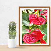 Blume Puerto Vallarta Poster