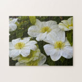 Blume Puzzle (Horizontal)