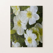 Blume Puzzle (Vertikal)