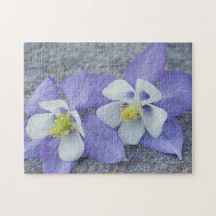 Blume Puzzle