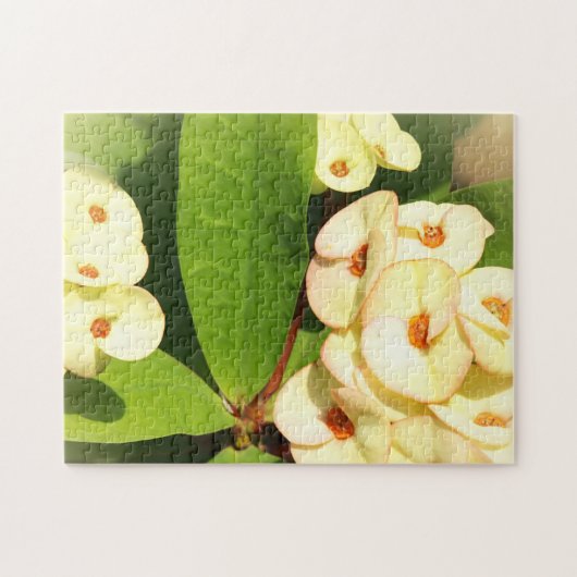 Blume Puzzle (Horizontal)