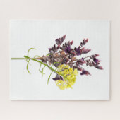 Blume Puzzle (Horizontal)