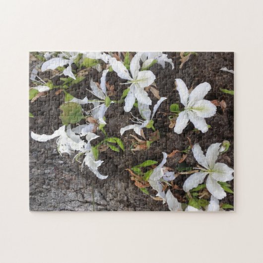 Blume Puzzle (Horizontal)