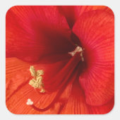 Blume Quadratischer Aufkleber (Vorderseite)