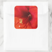 Blume Quadratischer Aufkleber (Tasche)