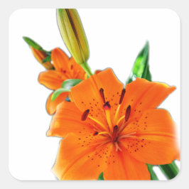 Blume Quadratischer Aufkleber