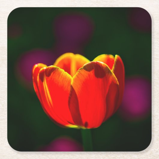 Blume Rechteckiger Pappuntersetzer (Vorderseite)