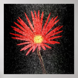 Blume Red Daisy Poster