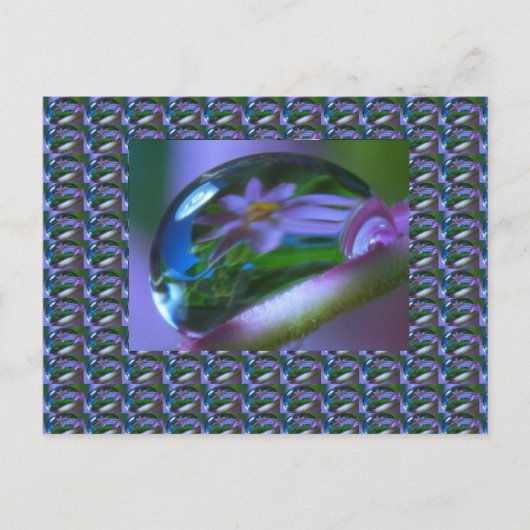 Blume REFLECTION auf einem DEW DROP . Niedrigpreis Postkarte (Vorderseite)