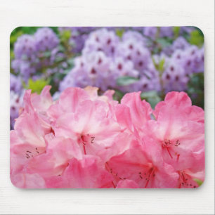 Blume Rhododendron Garden Rhodies Mousepad