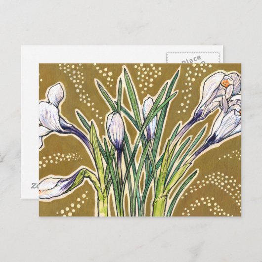 Blume Rosa Crocuses Postkarte (Vorne/Hinten)