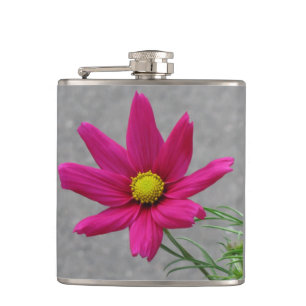 Blume rosa flachmann