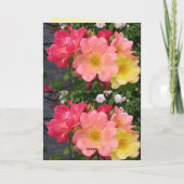 Blume Rosa Gelb Rose Vintage Rose Karte (Rückseite)