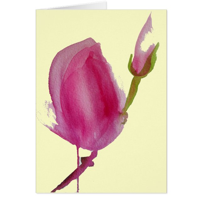 Blume Rosa Magnolia (Vorne)