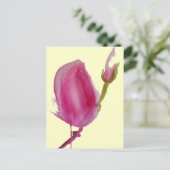 Blume Rosa Magnolia Postkarte (Stehend Vorderseite)