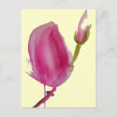 Blume Rosa Magnolia Postkarte (Vorderseite)