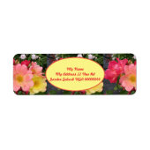 Blume Rosa Rose Blumengarten (Vorne)