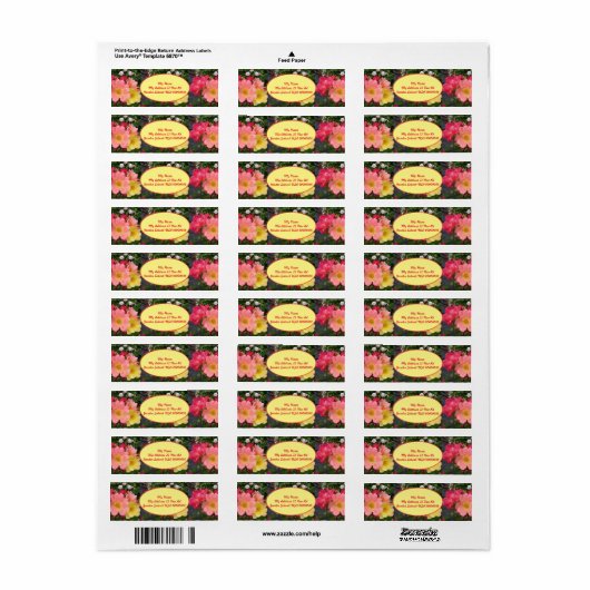 Blume Rosa Rose Blumengarten (Vorne)