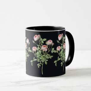 Blume Rosa Rose Natur Botanischer Garten Blossom Tasse