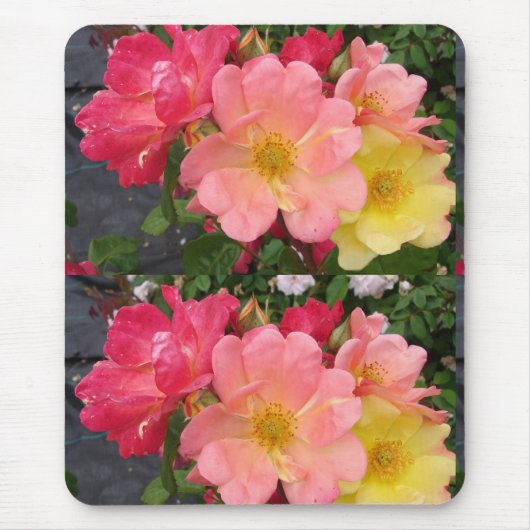 Blume Rosa Rose Rose Mousepad (Vorne)