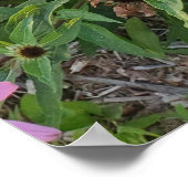 Blume Rosa und Gelbkon Naturfotografie Poster (Ecke)