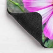 Blume Rosa und Weißkosmos Mousepad (Ecke)