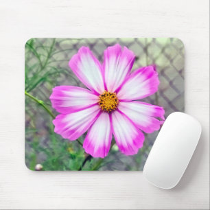 Blume Rosa und Weißkosmos Mousepad