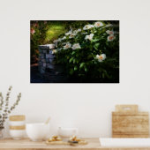 Blume - Rose - an der Wand Poster (Küche)